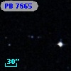 PB  7865