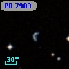 PB  7903