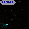PB  7919