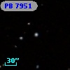 PB  7951