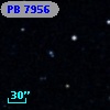 PB  7956