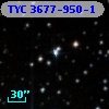 TYC 3677-950-1