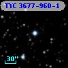 TYC 3677-960-1
