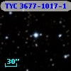 TYC 3677-1017-1
