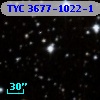 TYC 3677-1022-1