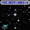 TYC 3677-1081-1