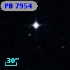 PB  7954