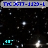 TYC 3677-1129-1