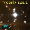 TYC 3677-1131-1