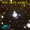TYC 3677-1134-1