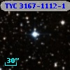 TYC 3167-1112-1