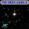 TYC 3677-1144-1