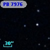 PB  7976