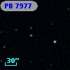 PB  7977