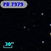 PB  7979