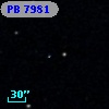 PB  7981