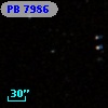 PB  7986