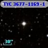 TYC 3677-1169-1