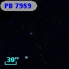 PB  7989