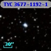 TYC 3677-1192-1
