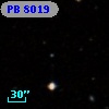 PB  8019