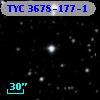 TYC 3678-177-1