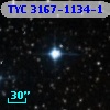 TYC 3167-1134-1
