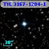 TYC 3167-1204-1