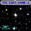 TYC 3167-1440-1