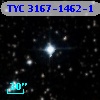 TYC 3167-1462-1