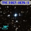 TYC 3167-1676-1