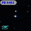 PB  8491
