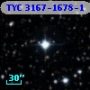 TYC 3167-1678-1