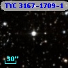 TYC 3167-1709-1