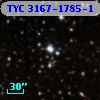 TYC 3167-1785-1