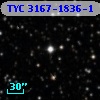 TYC 3167-1836-1