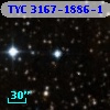 TYC 3167-1886-1