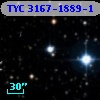 TYC 3167-1889-1