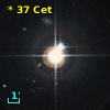 *  37 Cet