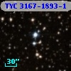 TYC 3167-1893-1