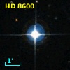 HD   8600