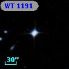 WT 1191