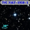 TYC 3167-1950-1