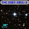 TYC 3167-1951-1