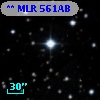 ** MLR   561AB