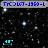 TYC 3167-1960-1