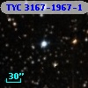 TYC 3167-1967-1