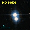 HD  10606