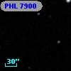PHL  7900