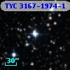 TYC 3167-1974-1